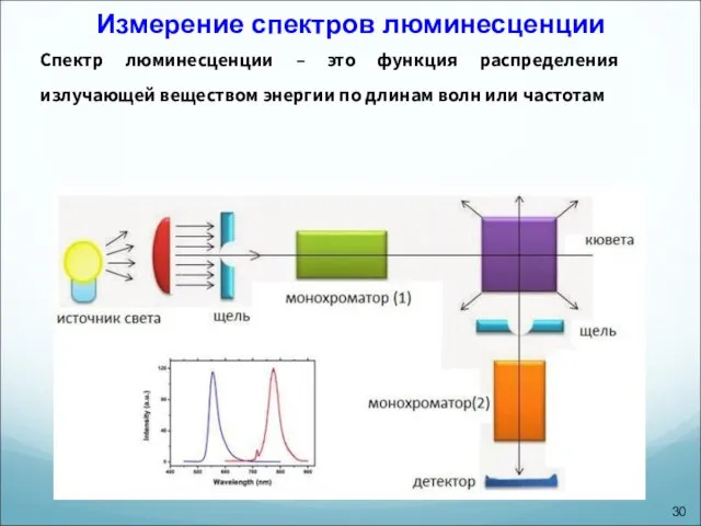 Измерение спектров люминесценции Спектр люминесценции – это функция распределения излучающей веществом
