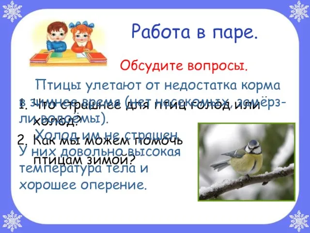 Работа в паре. Обсудите вопросы. Что страшнее для птиц голод или