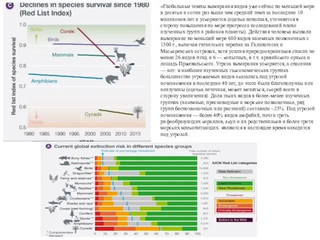 «Глобальные темпы вымирания видов уже сейчас по меньшей мере в десятки