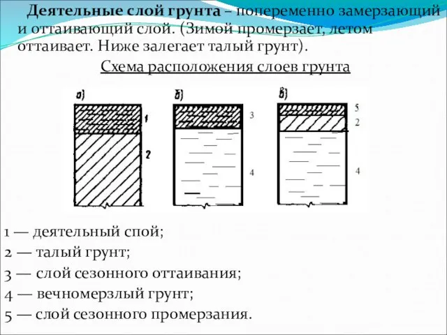 Деятельные слой грунта – попеременно замерзающий и оттаивающий слой. (Зимой промерзает,