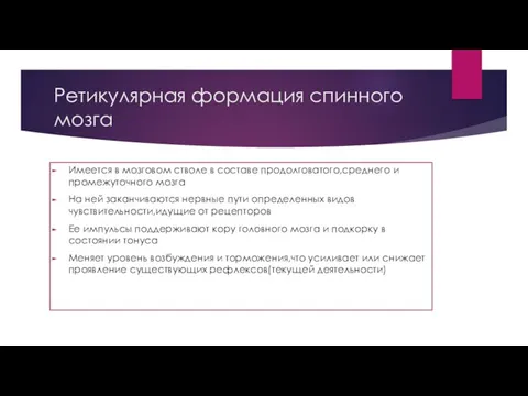 Ретикулярная формация спинного мозга Имеется в мозговом стволе в составе продолговатого,среднего