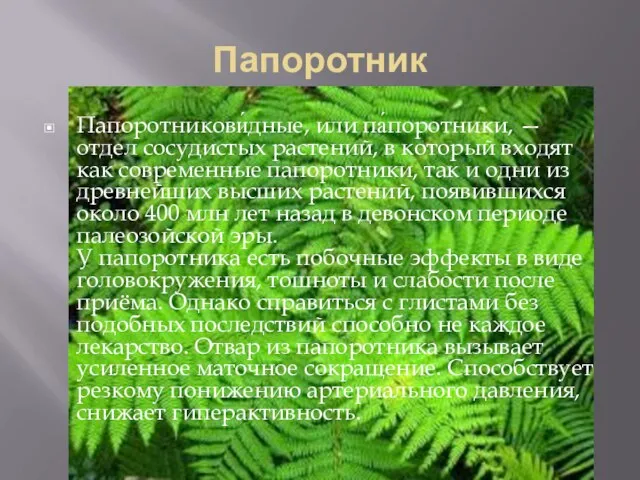 Папоротник Папоротникови́дные, или па́поротники, — отдел сосудистых растений, в который входят