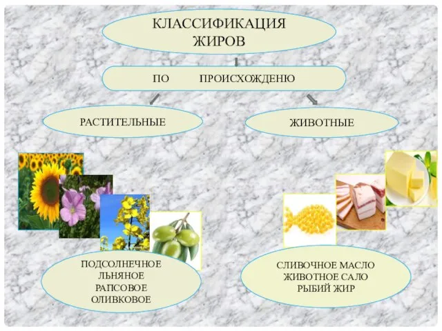 КЛАССИФИКАЦИЯ ЖИРОВ ПО ПРОИСХОЖДЕНЮ РАСТИТЕЛЬНЫЕ ЖИВОТНЫЕ ПОДСОЛНЕЧНОЕ ЛЬНЯНОЕ РАПСОВОЕ ОЛИВКОВОЕ СЛИВОЧНОЕ МАСЛО ЖИВОТНОЕ САЛО РЫБИЙ ЖИР