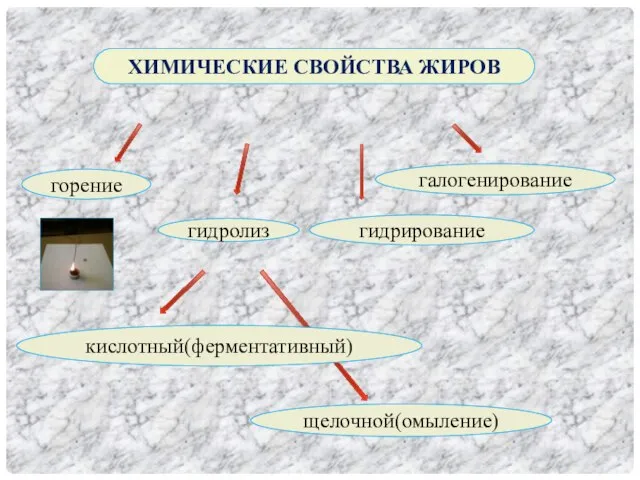 ХИМИЧЕСКИЕ СВОЙСТВА ЖИРОВ горение гидролиз гидрирование галогенирование кислотный(ферментативный) щелочной(омыление)