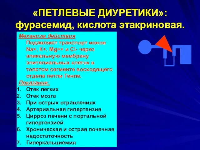 «ПЕТЛЕВЫЕ ДИУРЕТИКИ»: фурасемид, кислота этакриновая. Механизм действия Подавляют транспорт ионов Na+,