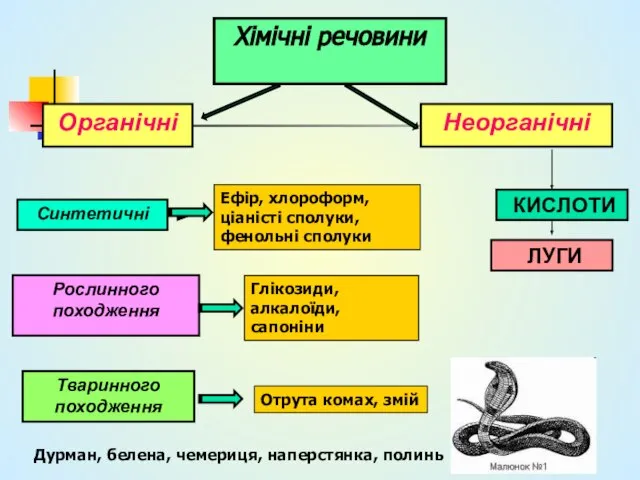 Хімічні речовини Органічні Неорганічні КИСЛОТИ ЛУГИ Синтетичні Рослинного походження Тваринного походження