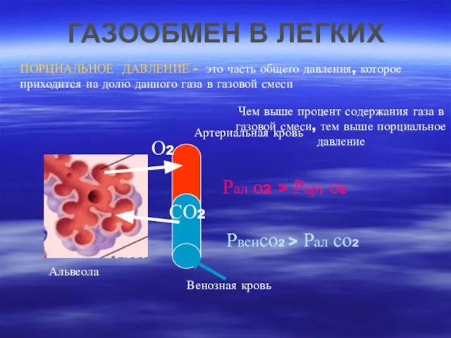 ГАЗООБМЕН В ЛЕГКИХ ПОРЦИАЛЬНОЕ ДАВЛЕНИЕ - это часть общего давления, которое