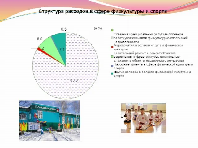 Структура расходов в сфере физкультуры и спорта