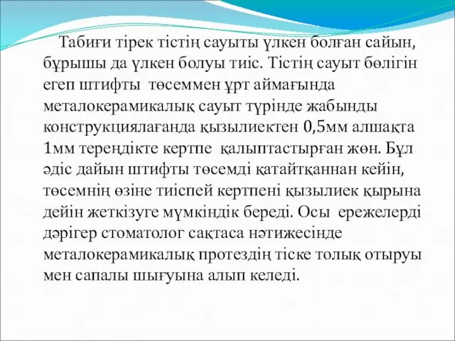 Табиғи тірек тістің сауыты үлкен болған сайын, бұрышы да үлкен болуы