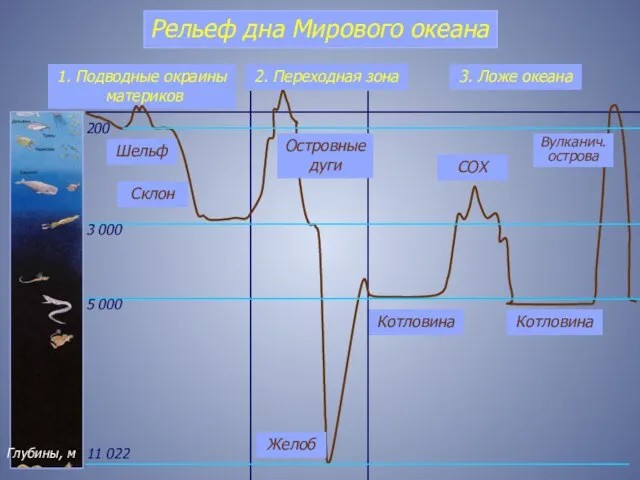 2. Переходная зона Котловина 1. Подводные окраины материков Рельеф дна Мирового