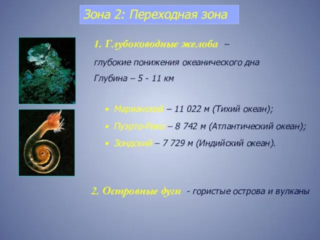 Зона 2: Переходная зона 2. Островные дуги - гористые острова и