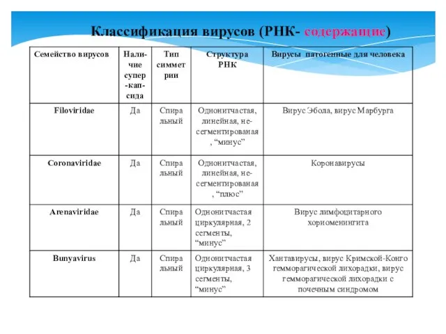 Классификация вирусов (РНК- содержащие)