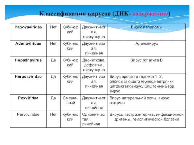 Классификация вирусов (ДНК- содержащие)