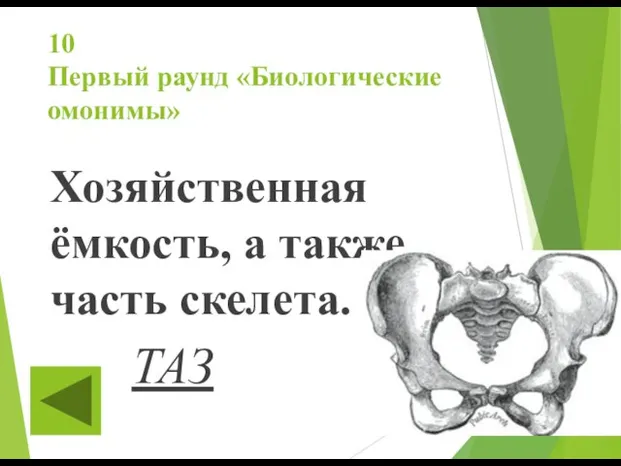 10 Первый раунд «Биологические омонимы» Хозяйственная ёмкость, а также часть скелета. ТАЗ