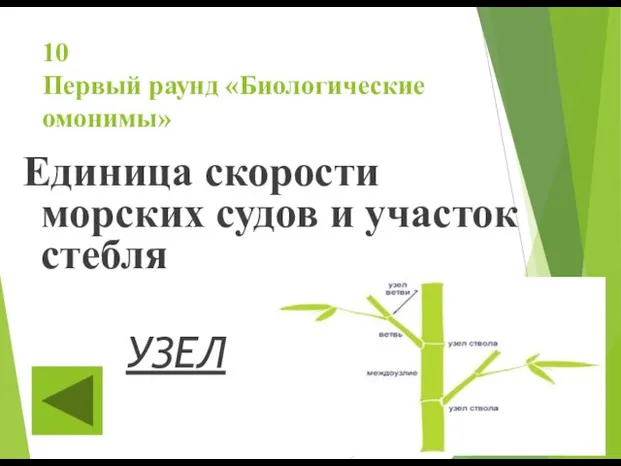 10 Первый раунд «Биологические омонимы» Единица скорости морских судов и участок стебля УЗЕЛ