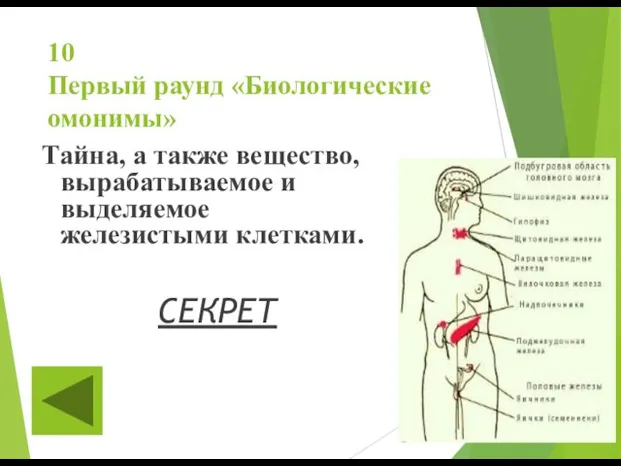 10 Первый раунд «Биологические омонимы» Тайна, а также вещество, вырабатываемое и выделяемое железистыми клетками. СЕКРЕТ