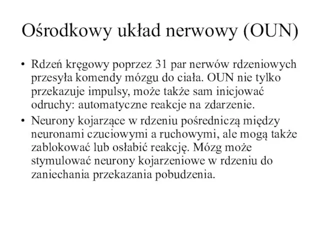 Ośrodkowy układ nerwowy (OUN) Rdzeń kręgowy poprzez 31 par nerwów rdzeniowych