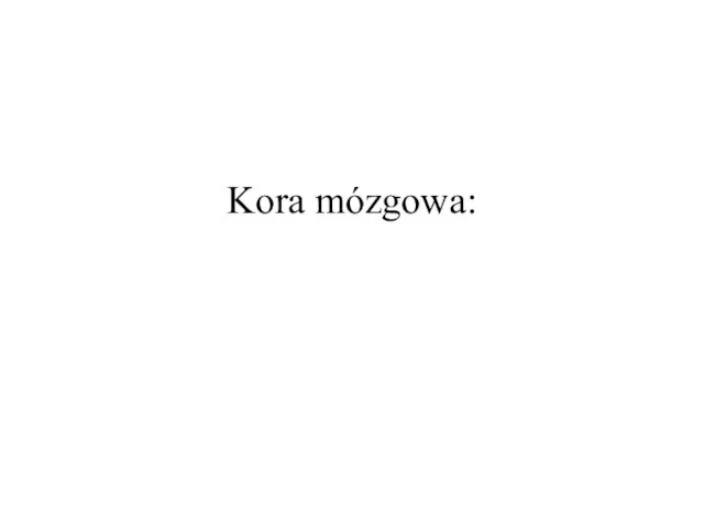 Kora mózgowa: