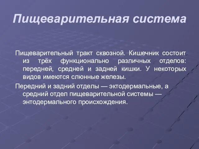 Пищеварительная система Пищеварительный тракт сквозной. Кишечник состоит из трёх функционально различных