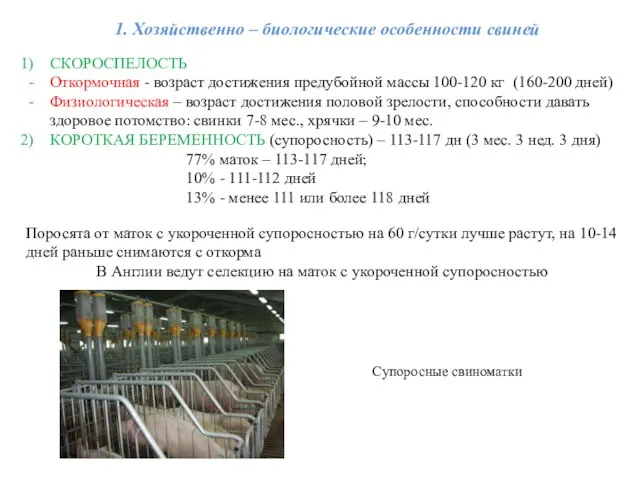 1. Хозяйственно – биологические особенности свиней СКОРОСПЕЛОСТЬ Откормочная - возраст достижения