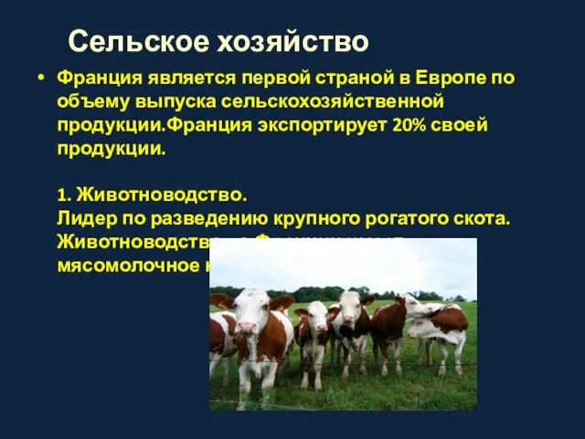 Сельское хозяйство Франция является первой страной в Европе по объему выпуска