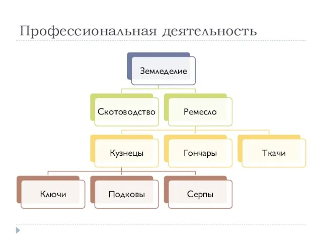 Профессиональная деятельность