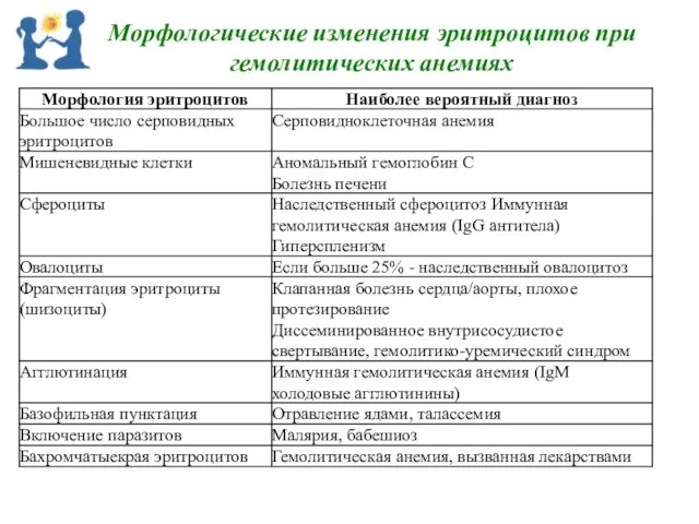 Морфологические изменения эритроцитов при гемолитических анемиях