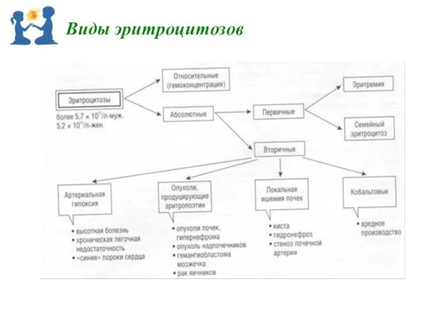 Виды эритроцитозов