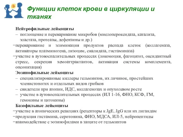 Нейтрофильные лейкоциты – поглощение и переваривание микробов (миелопероксидаза, катализа, эластаза, протеазы,