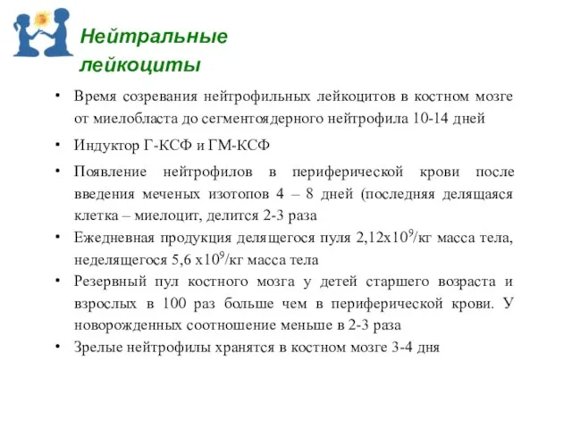 Время созревания нейтрофильных лейкоцитов в костном мозге от миелобласта до сегментоядерного