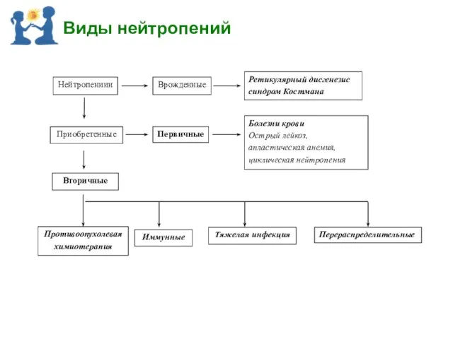 Виды нейтропений Нейтропениии Врожденные Ретикулярный дисгенезис синдром Костмана Приобретенные Первичные Болезни