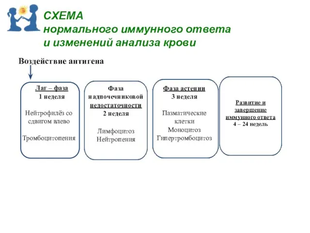 СХЕМА нормального иммунного ответа и изменений анализа крови Воздействие антигена Лаг