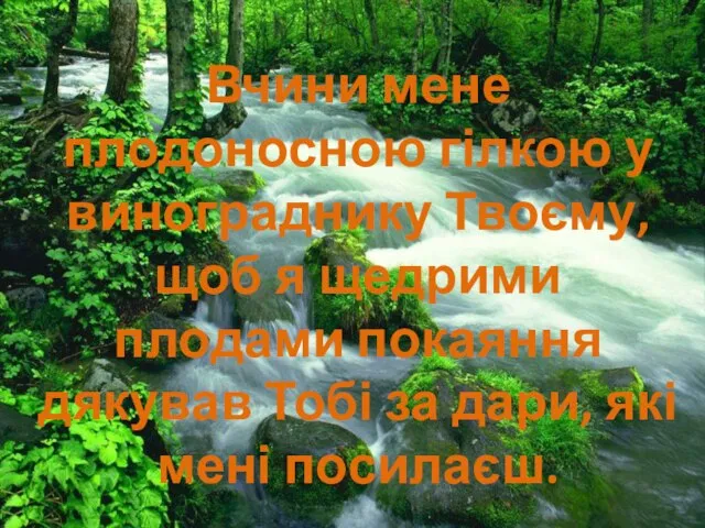 Вчини мене плодоносною гілкою у винограднику Твоєму, щоб я щедрими плодами