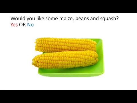 Would you like some maize, beans and squash? Yes OR No