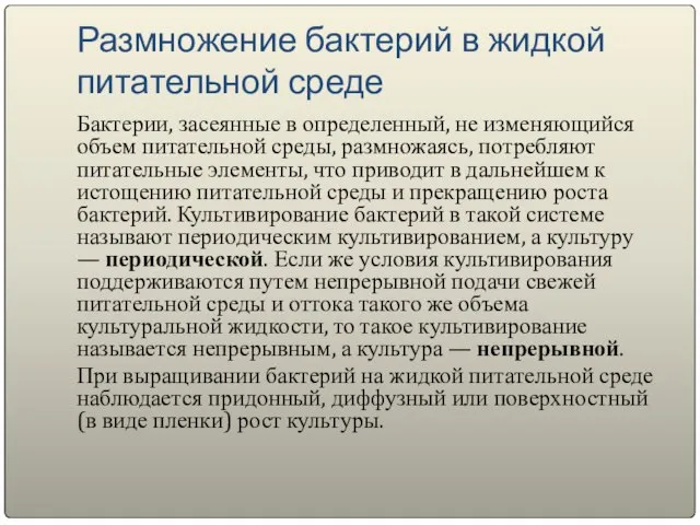 Размножение бактерий в жидкой питательной среде Бактерии, засеянные в определенный, не