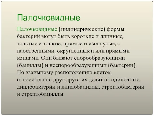 Палочковидные Палочковидные (цилиндрические) формы бактерий могут быть короткие и длинные, толстые