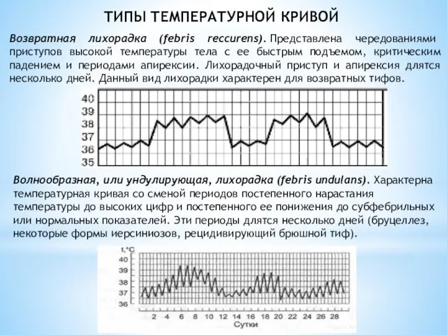 ТИПЫ ТЕМПЕРАТУРНОЙ КРИВОЙ Возвратная лихорадка (febris reccurens). Представлена чередованиями приступов высокой