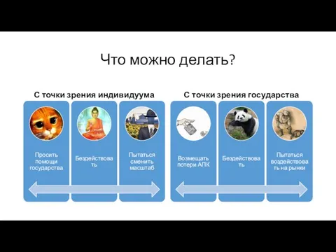 Что можно делать? С точки зрения индивидуума С точки зрения государства