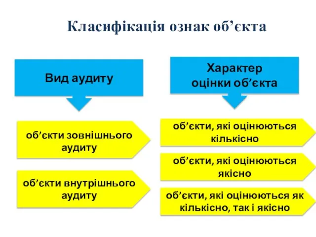 Класифікація ознак об’єкта Вид аудиту Характер оцінки об’єкта об’єкти, які оцінюються