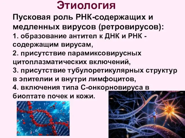 Этиология Пусковая роль РНК-содержащих и медленных вирусов (ретровирусов): 1. образование антител
