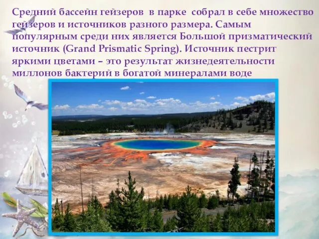 Средний бассейн гейзеров в парке собрал в себе множество гейзеров и