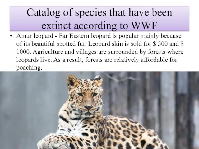 Catalog of species that have been extinct according to WWF Amur