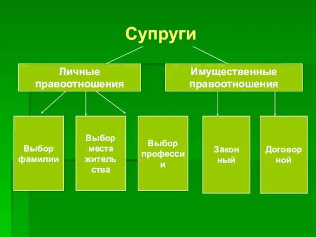 Супруги Личные правоотношения Имущественные правоотношения Выбор фамилии Выбор места житель ства