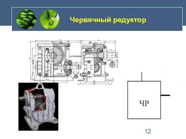 Червячный редуктор