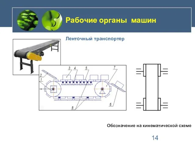 Ленточный транспортер Рабочие органы машин Обозначение на кинематической схеме