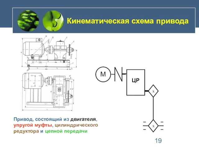 Привод, состоящий из двигателя, упругой муфты, цилиндрического редуктора и цепной передачи Кинематическая схема привода М