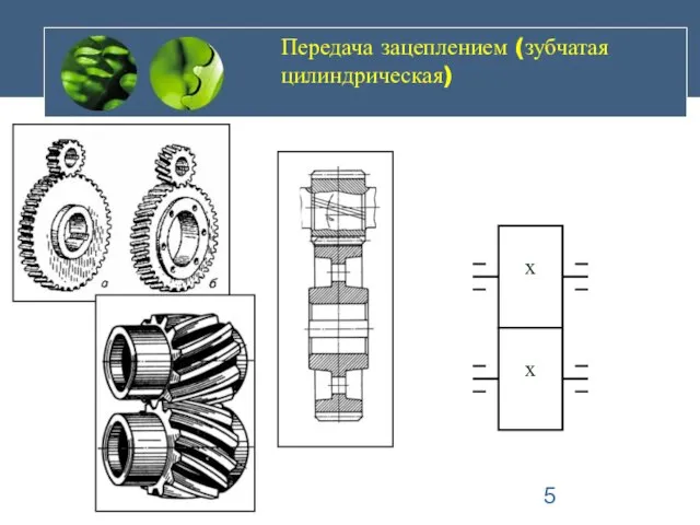 Передача зацеплением (зубчатая цилиндрическая)