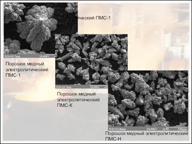 Порошок медный электролитический ПМС-1 Порошок медный электролитический ПМС-1 Порошок медный электролитический ПМС-К Порошок медный электролитический ПМС-Н