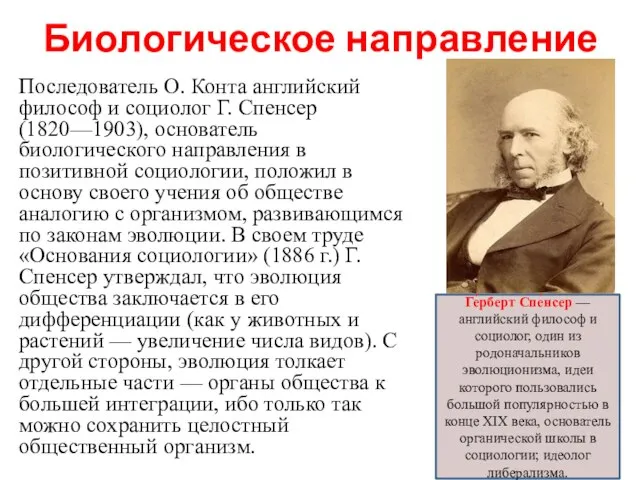 Биологическое направление Последователь О. Конта английский философ и социолог Г. Спенсер