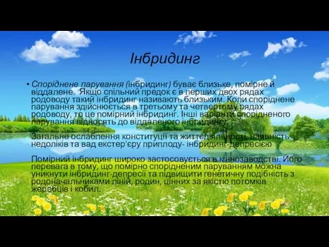 Інбридинг Споріднене парування (інбридинг) буває близьке, помірне й віддалене. Якщо спільний